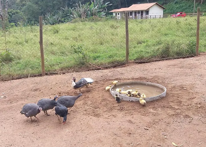 Fazenda Piloes