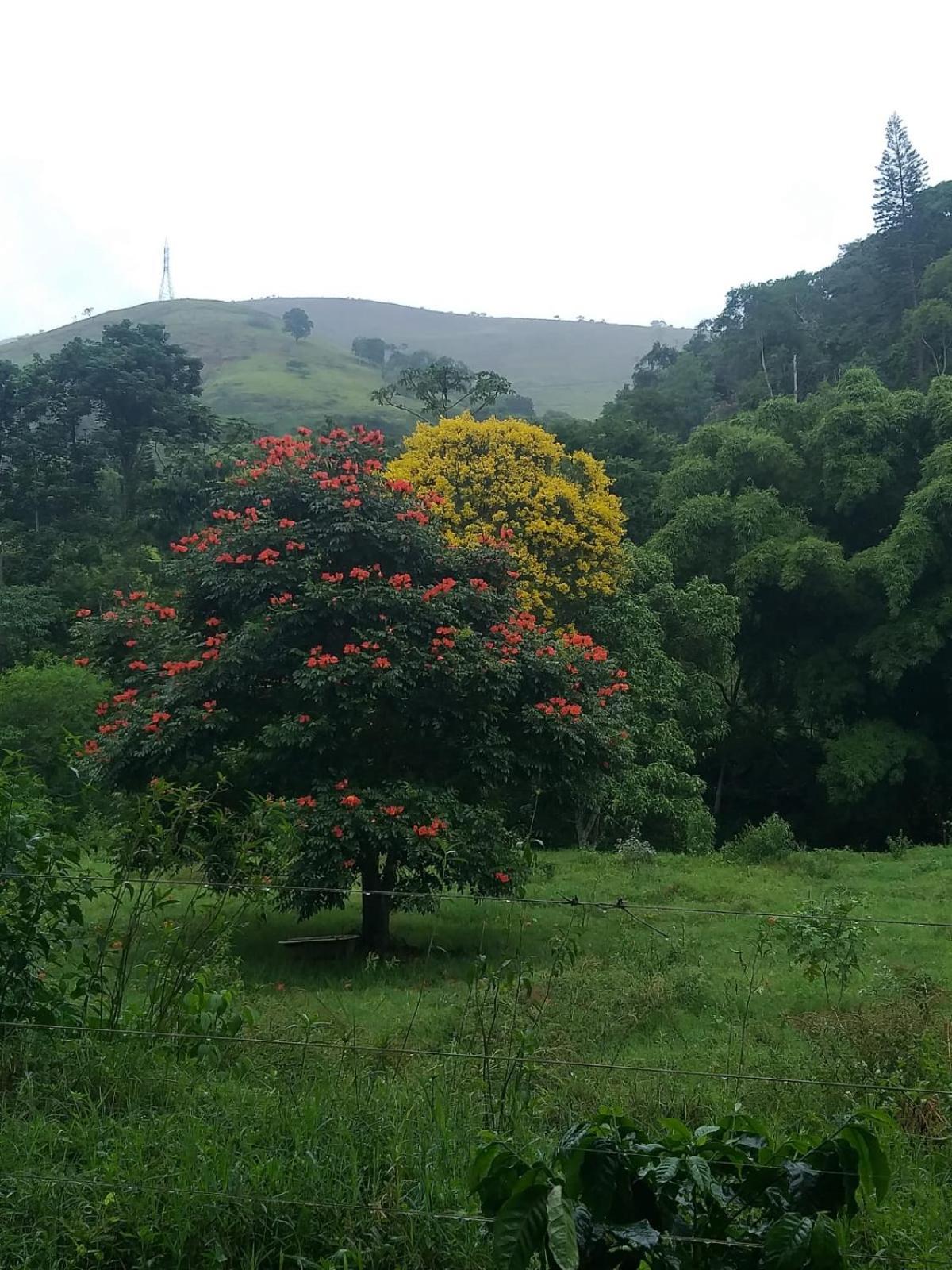 Fazenda Piloes Petrópolis
